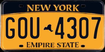 NY license plate GOU4307