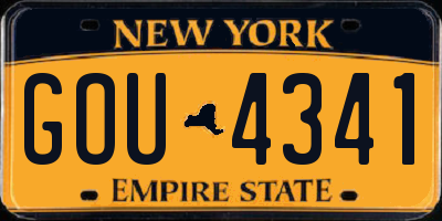 NY license plate GOU4341