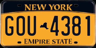 NY license plate GOU4381