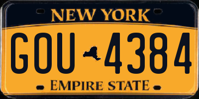NY license plate GOU4384