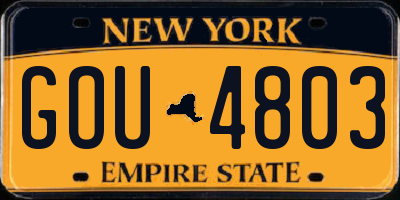 NY license plate GOU4803