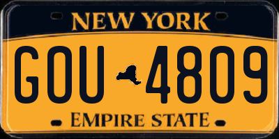 NY license plate GOU4809