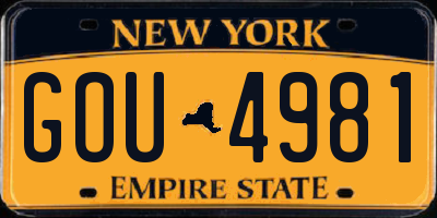 NY license plate GOU4981