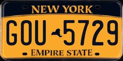 NY license plate GOU5729