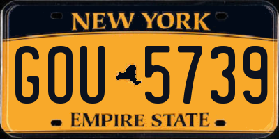 NY license plate GOU5739