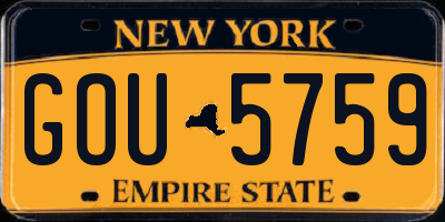 NY license plate GOU5759