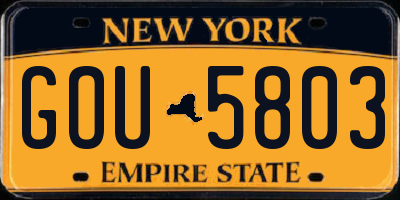 NY license plate GOU5803