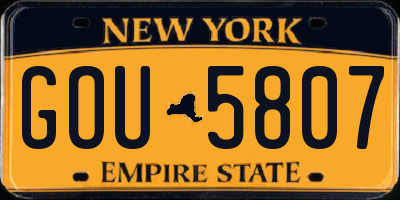NY license plate GOU5807
