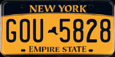 NY license plate GOU5828
