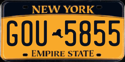 NY license plate GOU5855