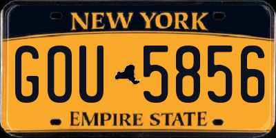 NY license plate GOU5856