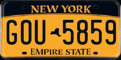 NY license plate GOU5859