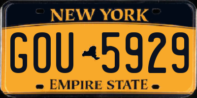 NY license plate GOU5929