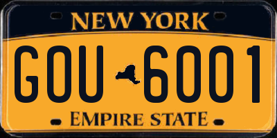 NY license plate GOU6001