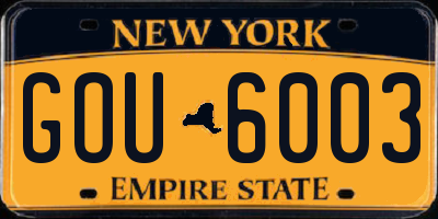 NY license plate GOU6003