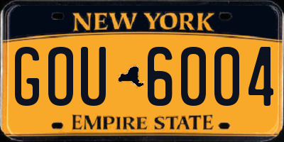 NY license plate GOU6004
