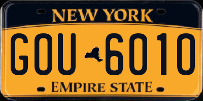 NY license plate GOU6010