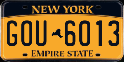 NY license plate GOU6013