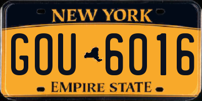 NY license plate GOU6016