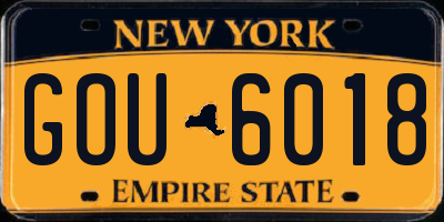 NY license plate GOU6018