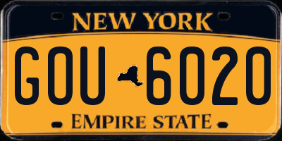 NY license plate GOU6020