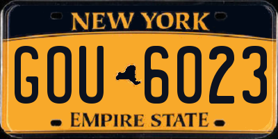 NY license plate GOU6023