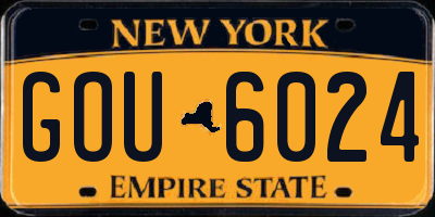 NY license plate GOU6024