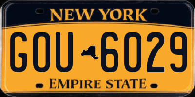 NY license plate GOU6029