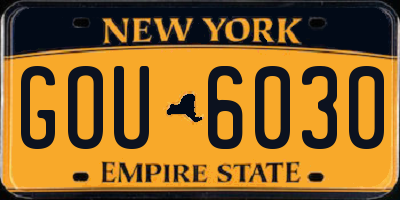 NY license plate GOU6030