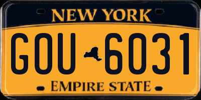 NY license plate GOU6031