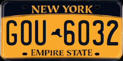 NY license plate GOU6032