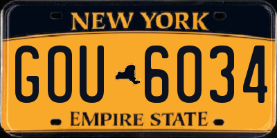 NY license plate GOU6034