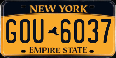 NY license plate GOU6037