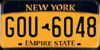 NY license plate GOU6048
