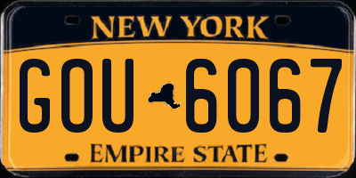 NY license plate GOU6067