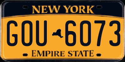 NY license plate GOU6073