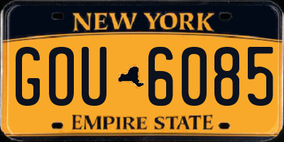 NY license plate GOU6085