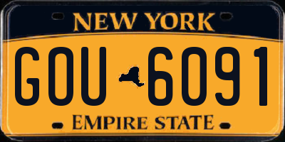 NY license plate GOU6091