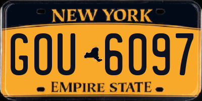 NY license plate GOU6097