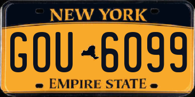 NY license plate GOU6099