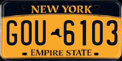 NY license plate GOU6103