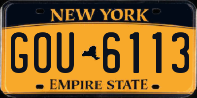 NY license plate GOU6113