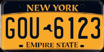 NY license plate GOU6123