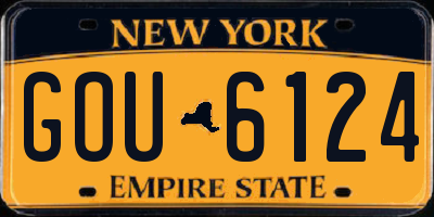 NY license plate GOU6124