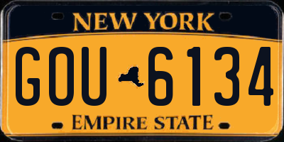 NY license plate GOU6134