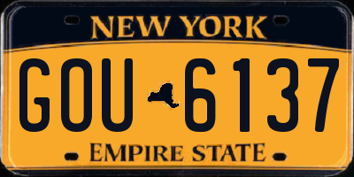 NY license plate GOU6137