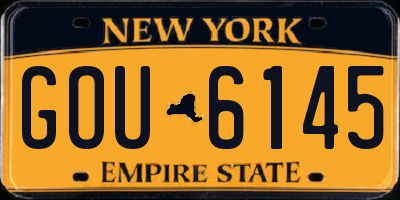 NY license plate GOU6145