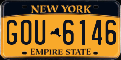 NY license plate GOU6146