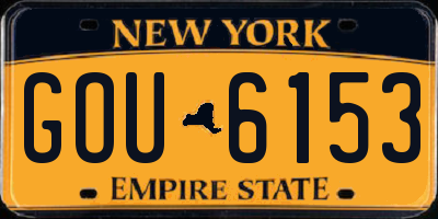 NY license plate GOU6153