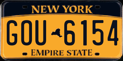 NY license plate GOU6154